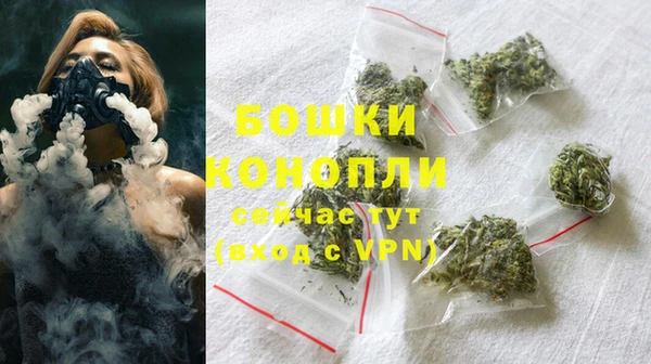 молекула духа Новозыбков