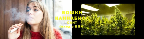 молекула духа Новозыбков