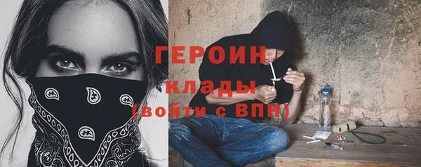 молекула духа Новозыбков