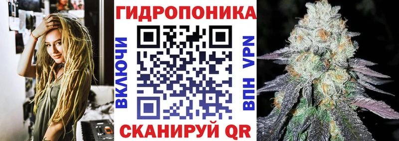 Бошки Шишки семена  Купить закладки  Тюкалинск 